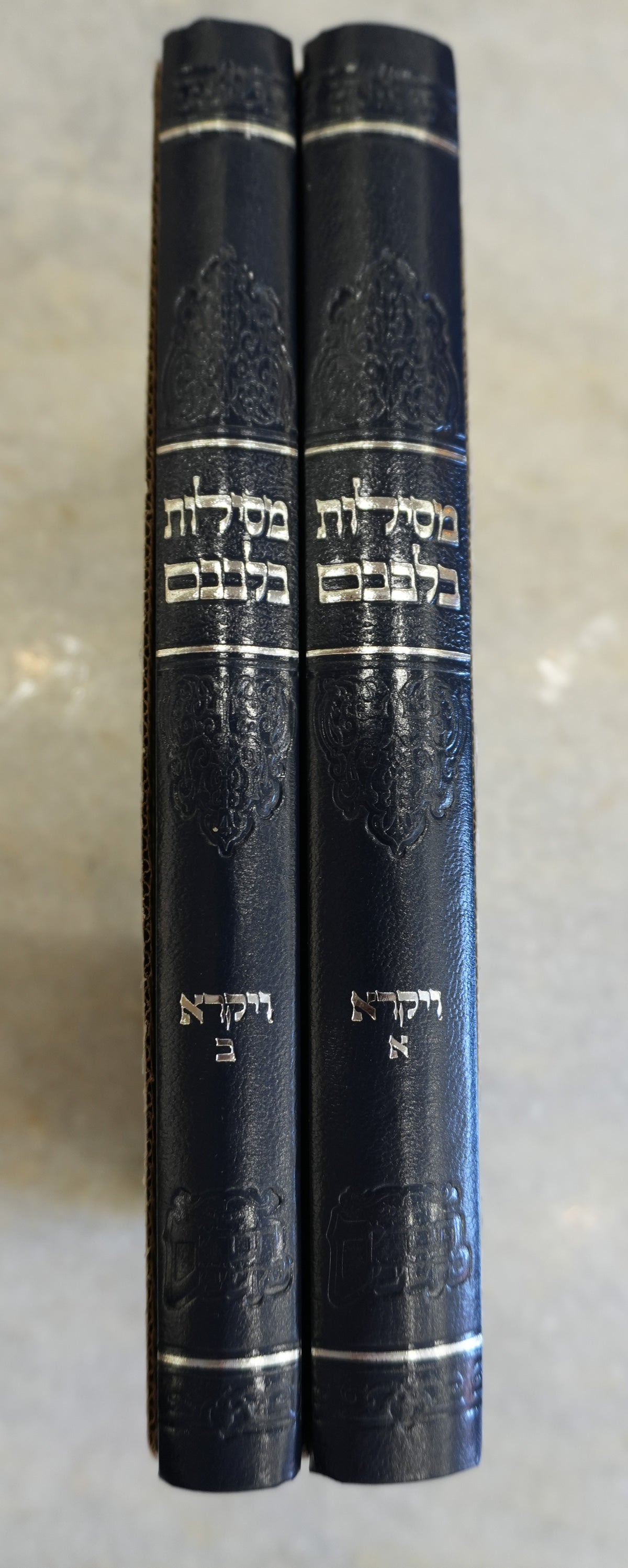 Sefer Mesilos Bilvovom - Vayikra (set of 2)